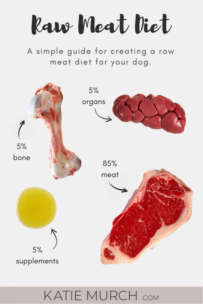 Katie Murch · Designing A Raw Meat Diet For Your Dog
