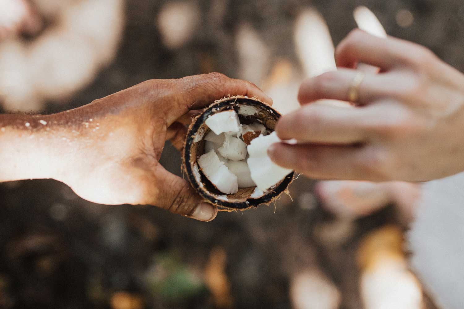 [A tan hand holds a coconut. Inside it are small pieces of coconut. One is being picked by a white hand with a gold band on the ring finger.]