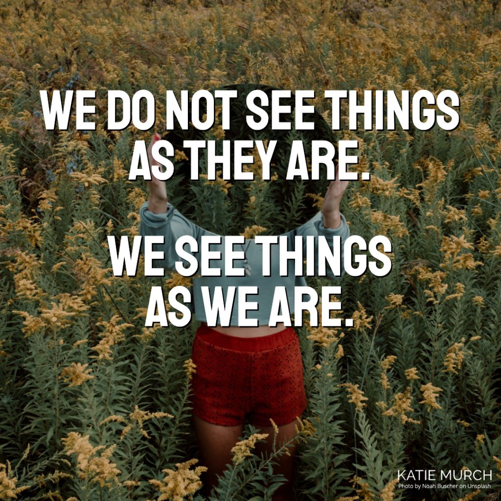 Quote is in front of a field of wildflowers. A light-skinned person is wearing red flower shorts and a blue long sleeve crop top. This person is holding a mirror that reflects the wildflower while covering her face. Katie Murch and photo credit is on the bottom right of the image.