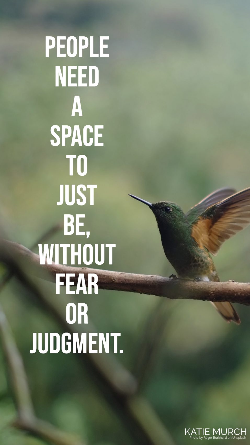 Quote is on the left of the photo while in the back is a green and brown hummingbird with its wings open perched on a brown branch. Katie Murch and photo credit is on the bottom right of the image.