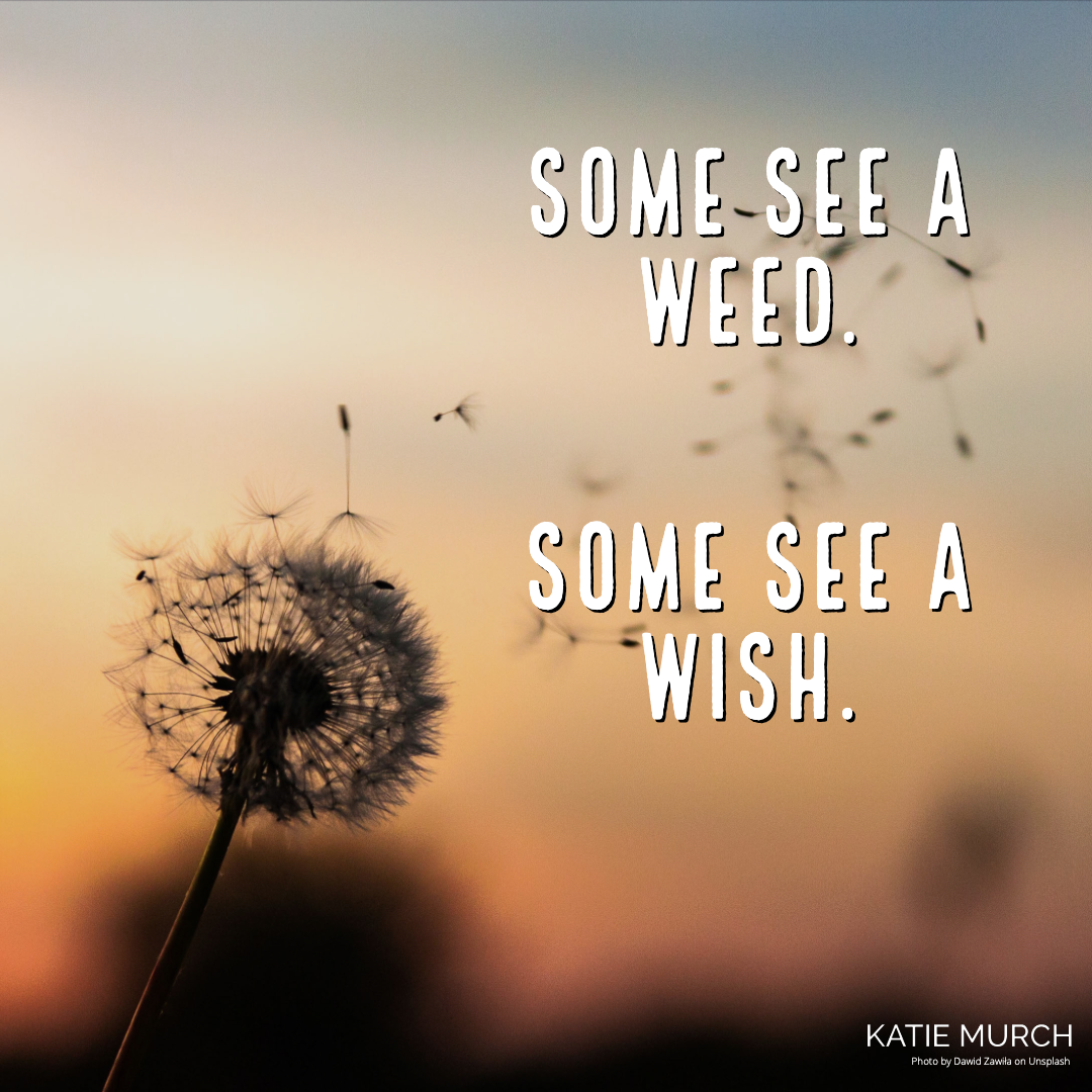 Quote is in front of a blurred yellow and orange background. Clearly on the left, a dandelion releases its seed to the wind. Katie Murch and photo credit is on the bottom right of the image.