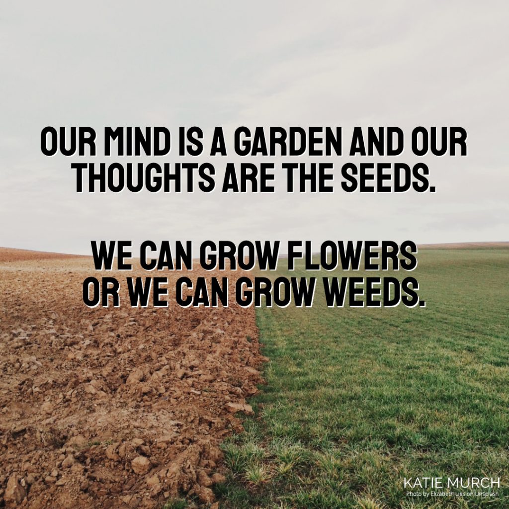 Quote is in the middle and in front of a field that is half dirt and half grass. Katie Murch and photo credit is on the bottom right of the image.